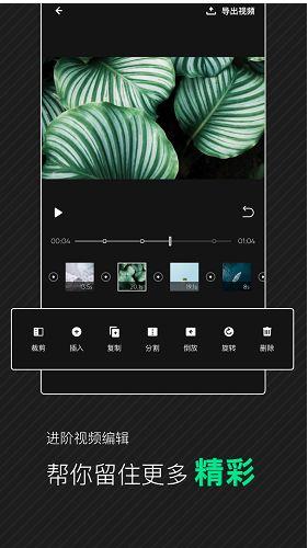 560pao免费视频在线国产